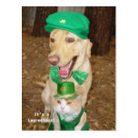 Leprechaun Sighting! Postcard