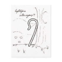 Leptospira Interrogans postcard postcards
