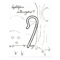 Leptospira Interrogans print