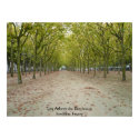 Les Arbres du Bordeaux posters