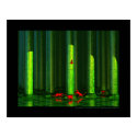 Les chasseurs - The hunters posters by gtran Les chasseurs - The hunters posters