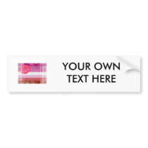 LESBIAN FLAG DISTRESSED -.png Bumper Stickers