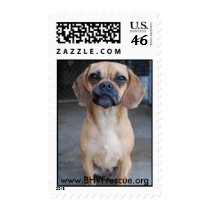 Leslie Stamps