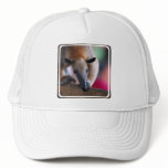 Lesser Anteater  Baseball Hat