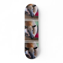 Lesser Anteater Skateboard