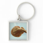 Lesser Electric Ray Key Chain