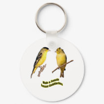 Lesser Goldfinches keychains by Harpalus22 Lesser Goldfinches keychains