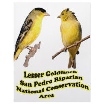 Lesser Goldfinches letterhead by Harpalus22 Lesser Goldfinches letterhead