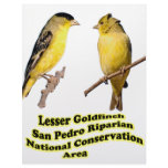 Lesser Goldfinches Personalized Letterhead