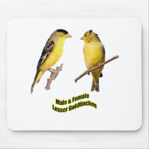 Lesser Goldfinches mousepads by Harpalus22 Lesser Goldfinches mousepads