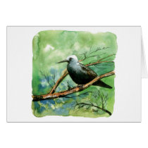 Lesser noddy cards by afumeeha Lesser noddy cards