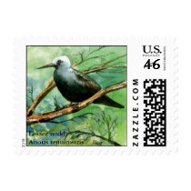 lesser noddy, Lesser noddyAnous tenuirostris postage by afumeeha lesser noddy, Lesser noddyAnous tenuirostris postage