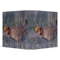 Lesser Prairie-Chicken, Tympanuchus 3 Ring Binder