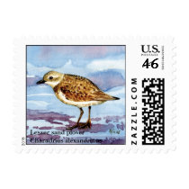 lesser sand plover, Lesser sand ploverCharadriu... postage by afumeeha lesser sand plover, Lesser sand ploverCharadriu... postage