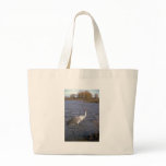 Lesser Sandhill Crane bags