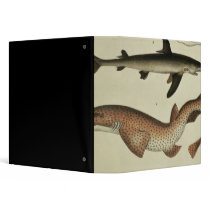 Lesser Spotted Dogfish 3 Ring Binders