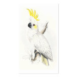 Lesser Sulphur-Crested Cockatoo by Edward Lear Business Card Template