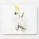 Lesser Sulphur-Crested Cockatoo by Edward Lear Mousemat