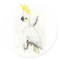 Lesser Sulphur-Crested Cockatoo by Edward Lear Round Sticker