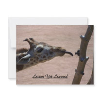 Lesson Yet Learned invitations