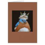 Lester the grumpy, bossy bluebird card