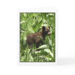 Let Bears Be... Card 2