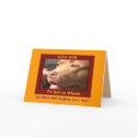 "Let DIVA DOG Brighten Your Day!" Greeting Card by chriscory28 "Let DIVA DOG Brighten Your Day!" Greeting Card