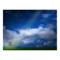 Let Go posters