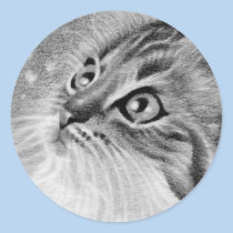 Let is snow  Kitty Cat stickers