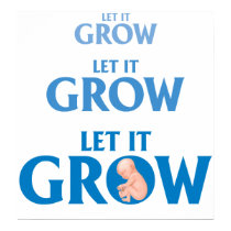 LET IT GROW EMBRYO PREGNANCY POSTER posters