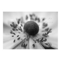 Let It Snow Canvas Print