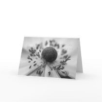 Let It Snow Christmas Card