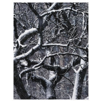 Let It Snow flyers