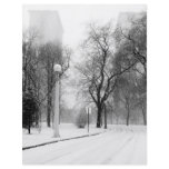 Let It Snow Custom Flyer