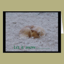 Let it snow cards