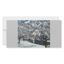 Let it Snow, Let it Snow, Let it Snow photo cards