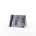 'Let it Snow' photo notecard