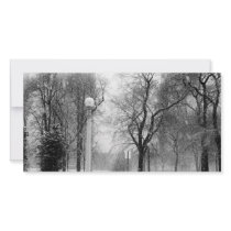 Let It Snow photo cards by doodlematz Let It Snow photo cards