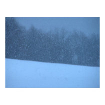 Let it Snow Poster or Print