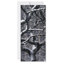 Let It Snow rack cards