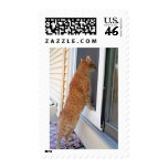 Let Me In! Postage