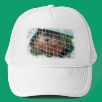 Let Me Out ~ hat hats