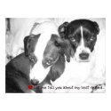 Let me tell you about my best friend.... posters