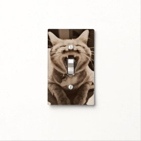 Let my cat's tongue control your lights switch plate covers