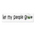 Let My People Grow bumper stickers