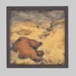 "Let Sleeping Bears Lie" premium gift boxes