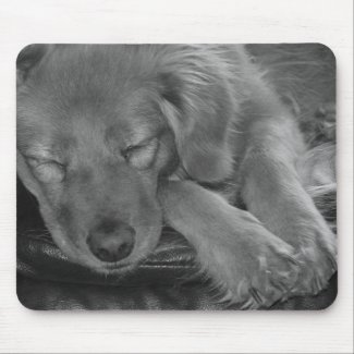 Let Sleeping Dogs Lie mousepad