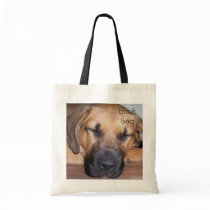 Let Sleeping Dogs Sleep Oil Painting Book Bag