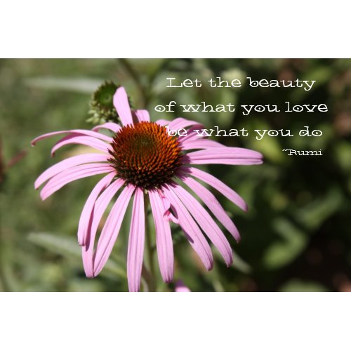 Let the Beauty of what you love print