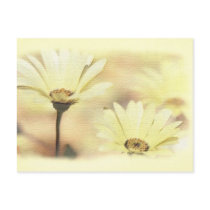 Let the sunshine postcards